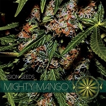 Mighty Mango Bud (Vision Seeds) Cannabis Seeds