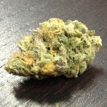 Super Shark (710 Genetics Seeds) Cannabis Seeds