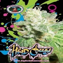 Head Cheese (Big Buddha Seeds) Cannabis Seeds