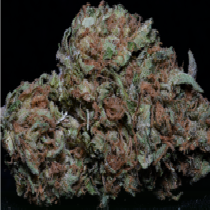 Zkittlez (Big Head Seeds) Cannabis Seeds