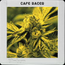 America Cafe Racer (BlimBurn Seeds) Cannabis Seeds