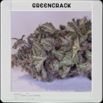 Green Crack (BlimBurn Seeds) Cannabis Seeds