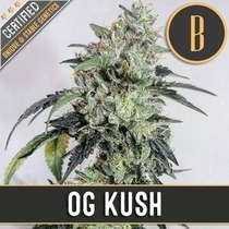 OG's Kush (BlimBurn Seeds) Cannabis Seeds