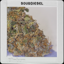 Sour Diesel (BlimBurn Seeds) Cannabis Seeds