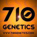 710 Genetics Seeds