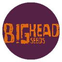 Big Head Seeds