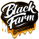 Black Farm Genetix Seeds