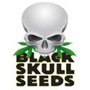 Black Skull Seeds