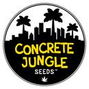 Concrete Jungle Seeds