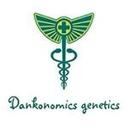 Dankonomics Genetics Seeds