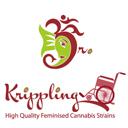 Dr Krippling Seeds