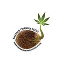 Emerald Triangle Seeds