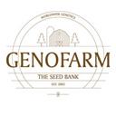 Genofarm Seeds