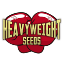 Heavyweight Seeds