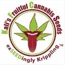 Kalis Fruitful Cannabis Seeds