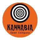 Kannabia Seeds