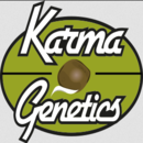 Karma Genetics Seeds