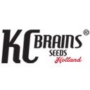 KC Brains Seeds