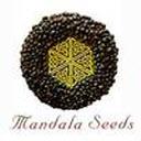 Mandala Seeds