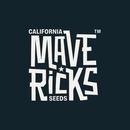 Mavericks Seeds