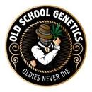 Old School Genetics Seeds