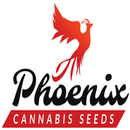 Phoenix Seeds