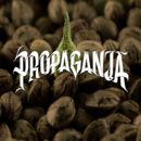 Propaganja