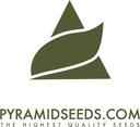 Pyramid Seeds