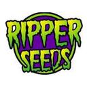 Ripper Seeds