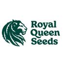 Royal Queen Seeds