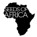Seeds Of Africa Seeds