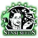 Sensi Seeds