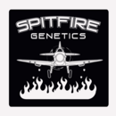 Spitfire Genetics 