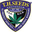 TH Seeds