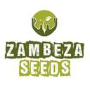 Zambeza Seeds